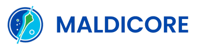 Maldicore - Empowering Business. Transforming Futures