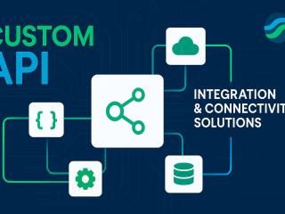 Custom API Integration & Connectivity Solutions