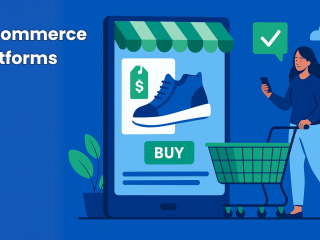 E-commerce Platforms