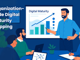 Organization-Wide Digital Maturity Mapping