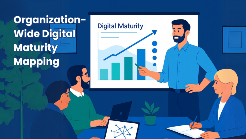 Organization-Wide Digital Maturity Mapping